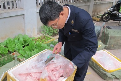 Chở mỗi thùng thịt thối được 150 nghìn đồng